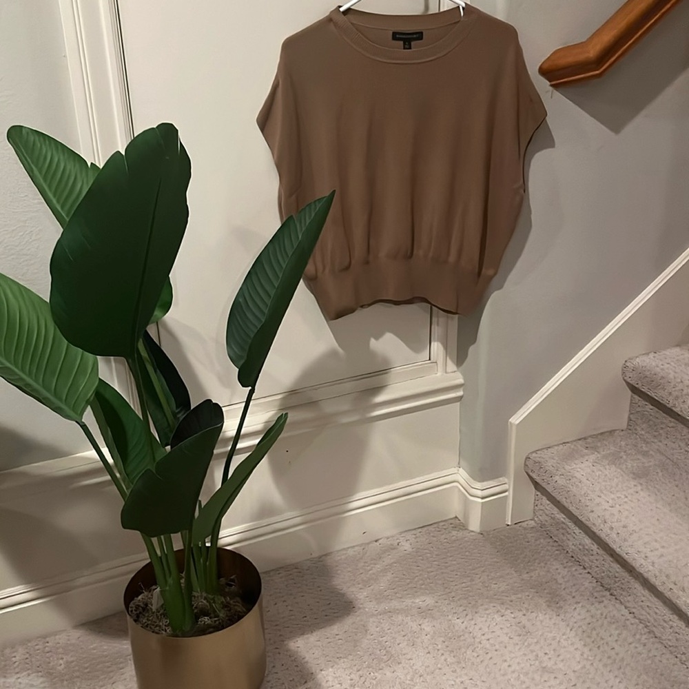 Banana Republic taupe short sleeve sweater (S)